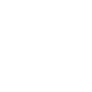 Elsa_logo_W