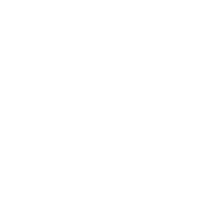 iferrari-risi-logo