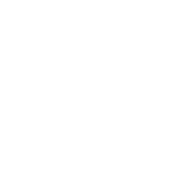 silvio-boi-logo